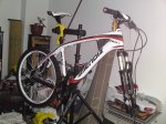 DSC05075_redimensionar.JPG
