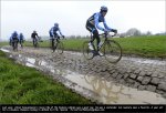 preview-puddle.jpg