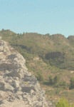 Nikoss_1.gif