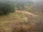 Colme-Manzanares-Mataelpino 22.jpg