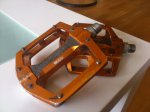 IMG-20120405-WA0010.jpg
