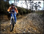 barcia2.jpg