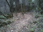 DSC00224 (640x480).jpg
