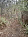 DSC00238 (480x640).jpg