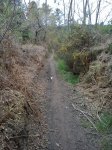 DSC00239 (480x640).jpg