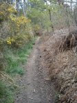 DSC00240 (480x640).jpg