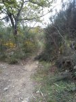 DSC00241 (480x640).jpg