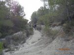 P4070039 [sal.].JPG