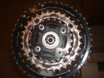 DSC05429.JPG