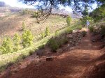 DSCN8719.jpg