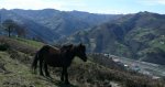 P1010440.jpg