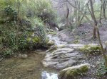 070420124496_1024x768.jpg