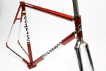 colnago-2010-side.jpg