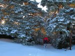 IMG_2961 (FILEminimizer).jpg
