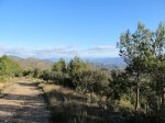 IMG_2880 (Copiar).JPG