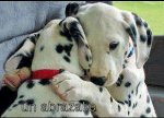 abrazo.jpg