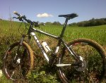 BICI 2.jpg