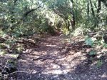 img_20120407_105523.jpg