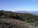 img_20120407_110408.jpg