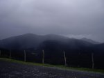 IMGP6917.jpg