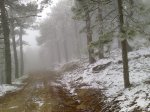 07042012176b.JPG