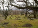 07042012179e.JPG