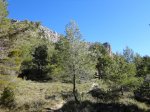 DSC02485.JPG