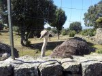 20120408_115409.jpg