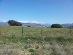 20120408_123739.jpg