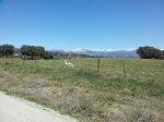 20120408_123746.jpg