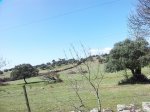 20120408_124200.jpg