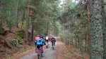DSC04208-a.jpg