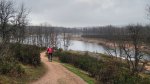 DSC04217c.jpg