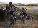 Sirga-camino-de-santiago-alta.jpg