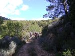 DSC04590.JPG