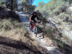 DSC00965.gif