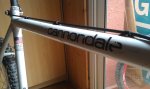 cannondale_5.jpg