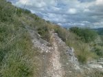 Imagen369-m.jpg