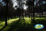 zona circuitos.jpg