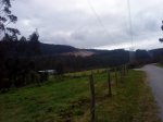 DSC06224.JPG