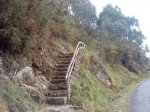 DSC06244.JPG