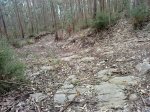 DSC06246.JPG