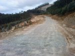 DSC06250.JPG