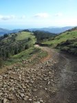 20120409_104958_768x1024.jpg