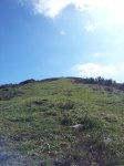 20120409_114114_768x1024.jpg