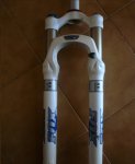 DSC08540.JPG
