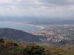 IMG_0208.jpg