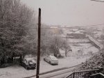 Foto0175.jpg