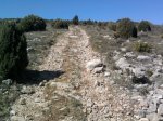 Foto1441 (Copiar).jpg