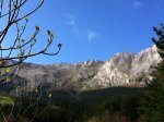la foto (33).JPG